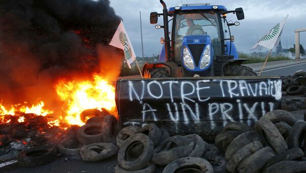 フランス　農場経営者デモ　国道を封鎖 - Sputnik 日本
