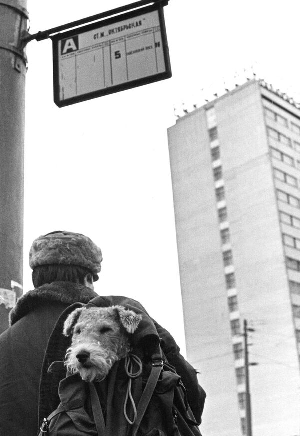 街の冬：1930年代・90年代の写真に見るモスクワ - Sputnik 日本