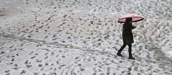 雪 - Sputnik 日本