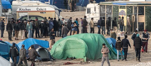仏カレー港使用の英国トラック輸送者協会、移民からの保安に軍を発動せよ 仏カレー港使用の英国トラック輸送者協会、移民からの保安に軍を発動せよ - Sputnik 日本