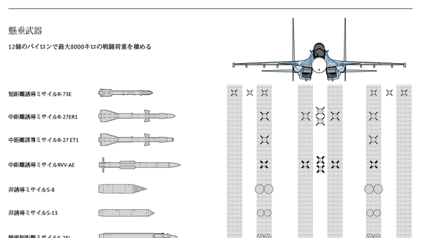 多目的重量級4+世代戦闘機 - Sputnik 日本