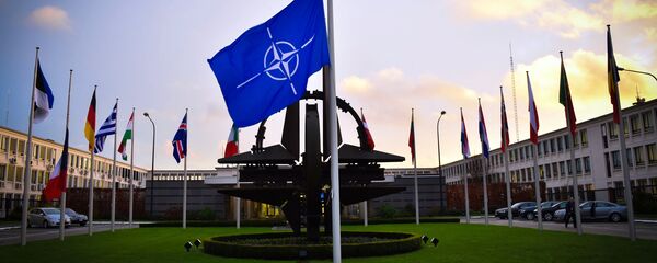 ロシアとNATOの対話発展:2017年の予定 ロシアとNATOの対話発展:2017年の予定 - Sputnik 日本