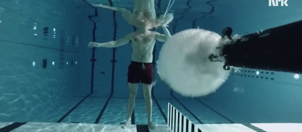 ノルウェーの物理学者　科学のために自身の腹を撃つ - Sputnik 日本