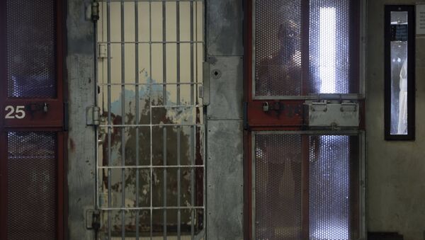 An inmate looks out from his cell in the Security Housing Unit (SHU) at Corcoran State Prison in Corcoran, California in this October 1, 2013 file photo - Sputnik 日本
