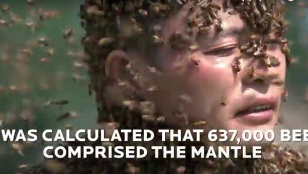 恐れを知らぬ中国人　体に６３万７０００匹の蜂を止まらせる - Sputnik 日本