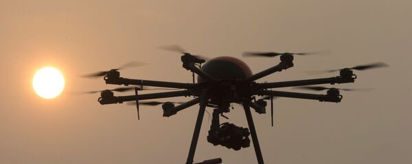 ドロン ドロン - Sputnik 日本