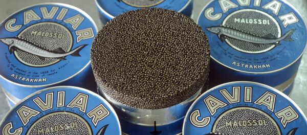 アストラハン産のキャビアとカスピ海の経済特区に関心を表した日本 - Sputnik 日本