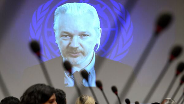 WikiLeaks founder Julian Assange - Sputnik 日本