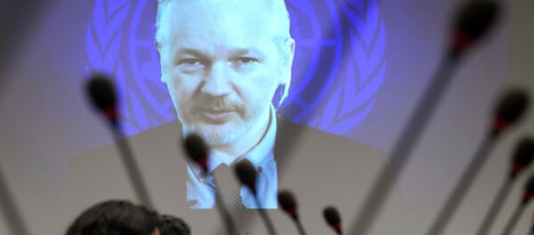 WikiLeaks founder Julian Assange - Sputnik 日本