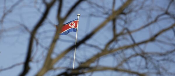 北朝鮮国旗 北朝鮮国旗 - Sputnik 日本