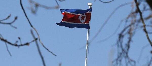 北朝鮮国旗 北朝鮮国旗 - Sputnik 日本