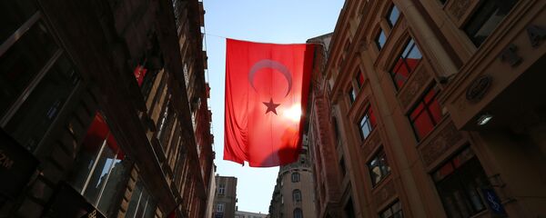 CIAとトルコ諜報部、機密の協調センターを創設 CIAとトルコ諜報部、機密の協調センターを創設 - Sputnik 日本