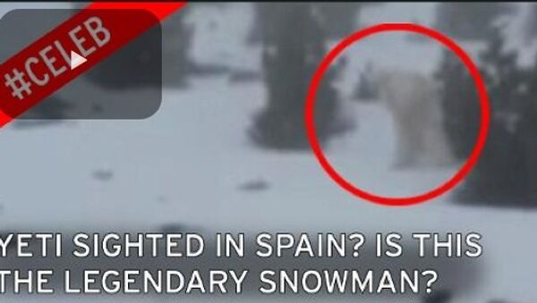 スペインの雪男の動画　インターネット上で「爆発的な」話題に - Sputnik 日本