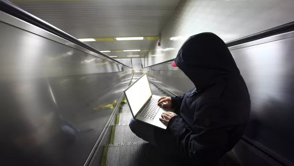 米国の納税者数十万人のデータにハッカーが侵入 米国の納税者数十万人のデータにハッカーが侵入 - Sputnik 日本