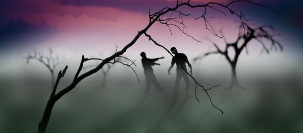 New Mexico Man Kills to Keep Friend From Turning Into a Zombie - Sputnik 日本