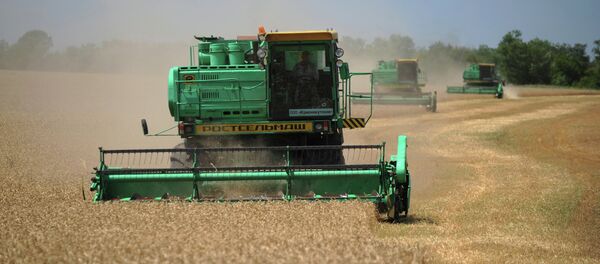 ロシア 北朝鮮への人道支援で小麦2万5000トンを提供 ロシア 北朝鮮への人道支援で小麦2万5000トンを提供 - Sputnik 日本