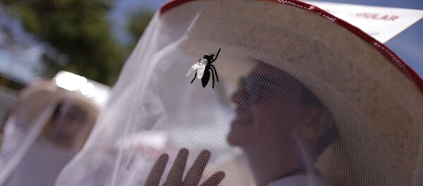 ソチ、ジカ・ウイルス対策措置が取られる - Sputnik 日本