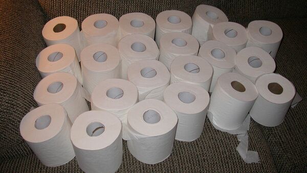 Rolls of toilet paper - Sputnik 日本
