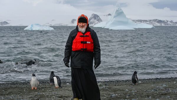 キリル総主教を南極のペンギンが「いらっしゃ～い！」 - Sputnik 日本