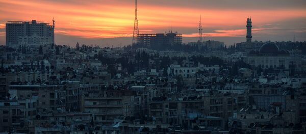 国連:「ダーイシュ(IS)」とシリア政府は人類に対する罪を犯している 国連:「ダーイシュ(IS)」とシリア政府は人類に対する罪を犯している - Sputnik 日本