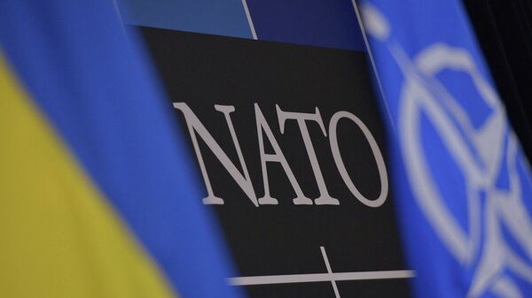 ウクライナの安全保障の保証草案はNATOに裏口から加盟しようとする試み　トルコ人専門家 - Sputnik 日本