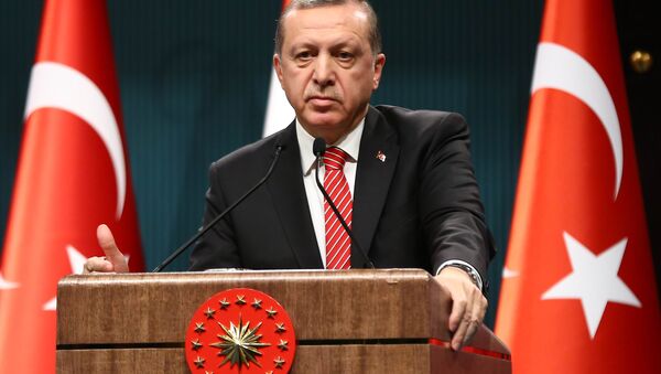 エルドアン大統領、トルコ軍が外国で軍事作戦を行う権利を主張 - Sputnik 日本