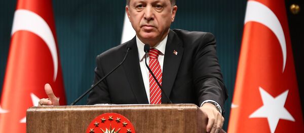 エルドアン大統領、トルコ軍が外国で軍事作戦を行う権利を主張 エルドアン大統領、トルコ軍が外国で軍事作戦を行う権利を主張 - Sputnik 日本