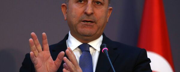 トルコのメヴリュト・チャウショグル外相 - Sputnik 日本