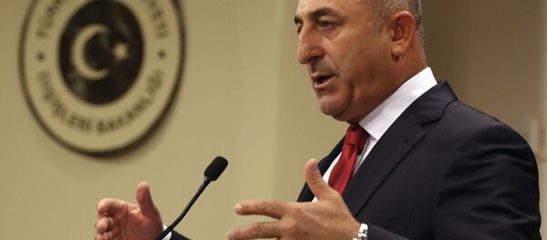 チャヴショグル外相 チャヴショグル外相 - Sputnik 日本