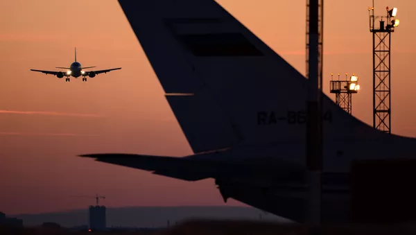 米国で未成年者に対するハラスメントで飛行機が緊急着陸 - Sputnik 日本