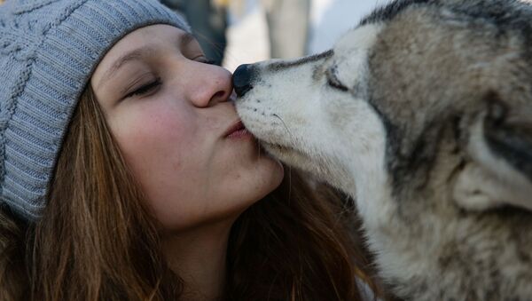 学説：犬は人といるときのみ幸福を感じる - Sputnik 日本