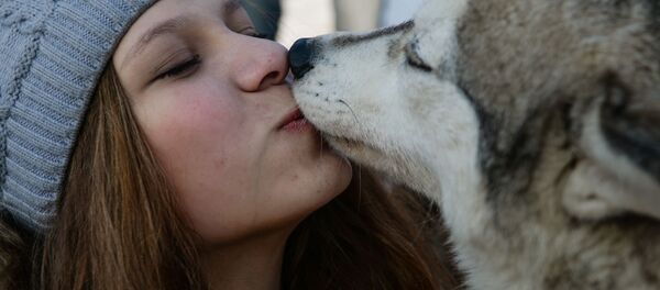 学説：犬は人といるときのみ幸福を感じる - Sputnik 日本