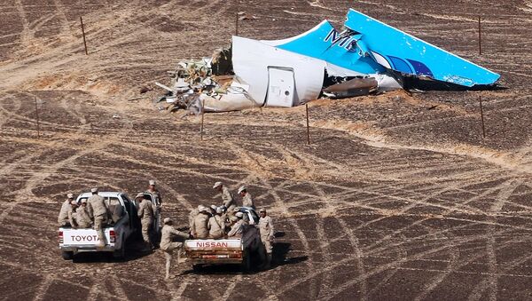 エジプト　ロシア機墜落の原因がテロであったことを初めて認める - Sputnik 日本