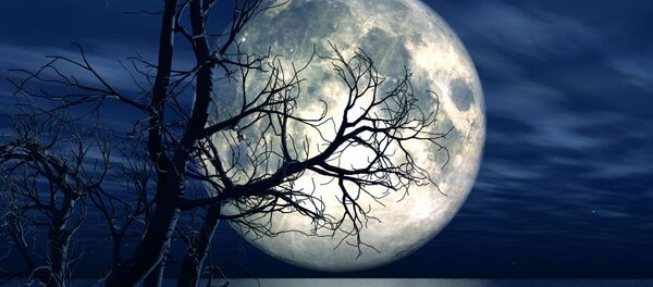 月 月 - Sputnik 日本