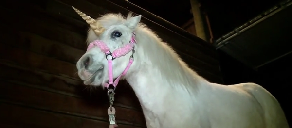 米国、「ユニコーン」脱走で警察が４時間も振り回される - Sputnik 日本