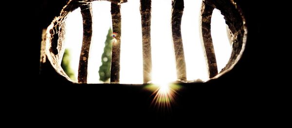 拘留 - Sputnik 日本