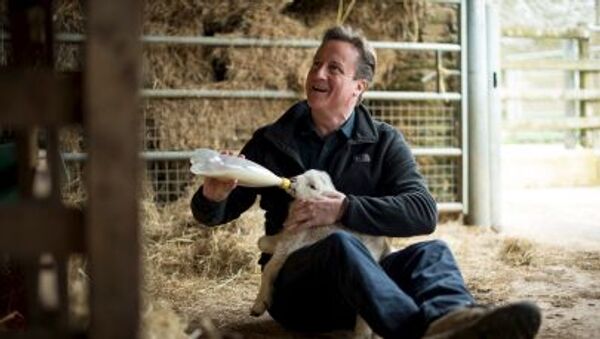 孤児になった子羊にエサを与える英キャメロン首相。 - Sputnik 日本