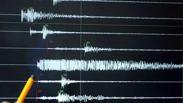 インドネシア沿岸部で大地震 - Sputnik 日本