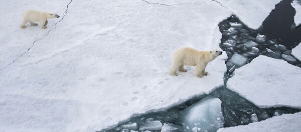 北極の氷　１０万年ぶりになくなる？ - Sputnik 日本
