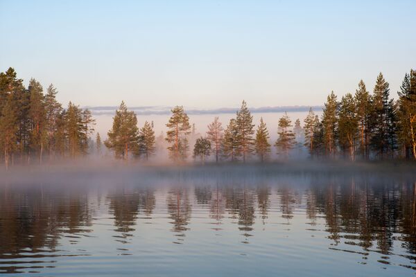 カレリア共和国の森林湖の朝靄。カレリアの最大の観光ハイライトは自然。域内には168の特別自然保護地域があり、多数の巨大な貯水池があるため「千湖の国」と呼ばれる。 - Sputnik 日本