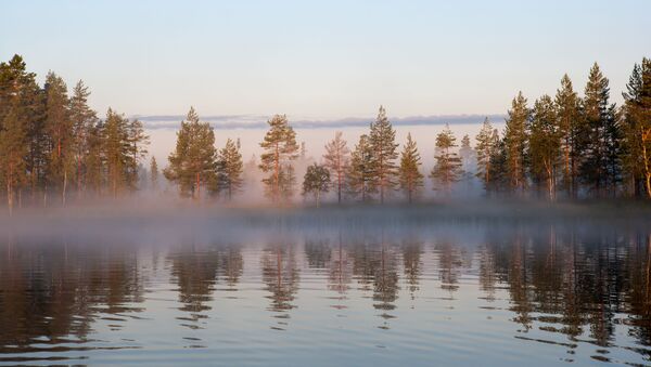 Туманное утро на лесном озере в Республике Карелия - Sputnik 日本