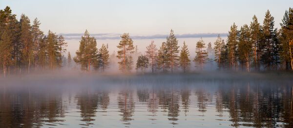 Туманное утро на лесном озере в Республике Карелия - Sputnik 日本