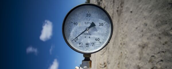 「世界経済におけるOPECの時代は過ぎた」―エネルギー専門家 - Sputnik 日本