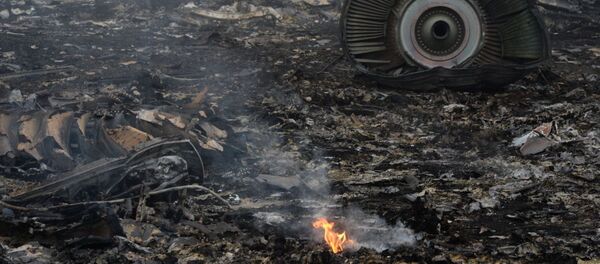 オランダ事故調査団 マレー機MH17便を撃墜したミサイルの発射場所を明らかに オランダ事故調査団 マレー機MH17便を撃墜したミサイルの発射場所を明らかに - Sputnik 日本