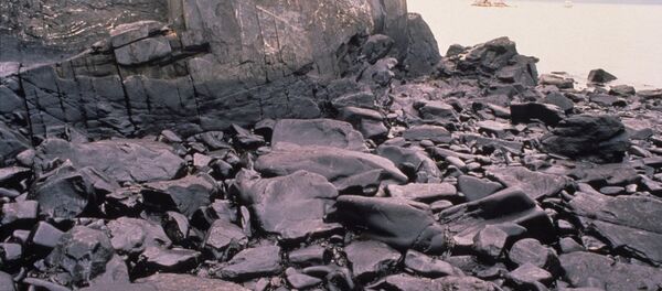 原油漏れ - Sputnik 日本