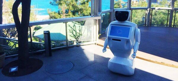 中国企業、ロシア製ロボット１００体を購入へ - Sputnik 日本