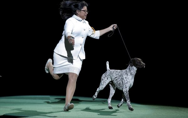 犬と一緒にドックダンス！　世界選手権が初めてモスクワで - Sputnik 日本