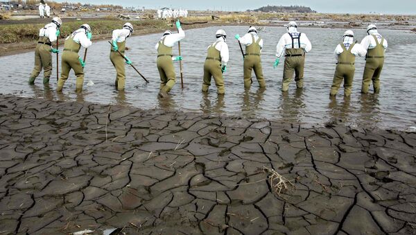 福島県の土砂に放射性物質 - Sputnik 日本