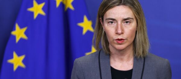 ＥＵ　対ロシア関係の新原則を承認 - Sputnik 日本