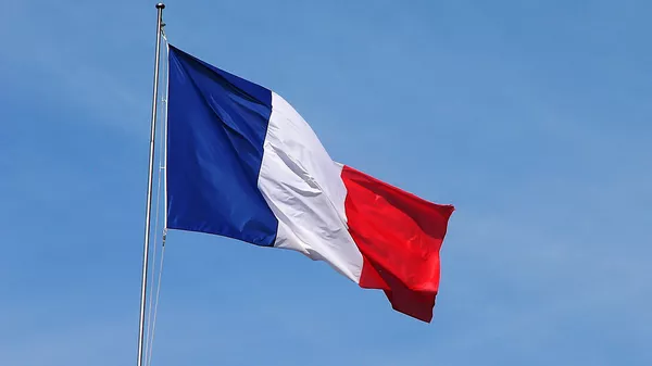 フランス旗 - Sputnik 日本